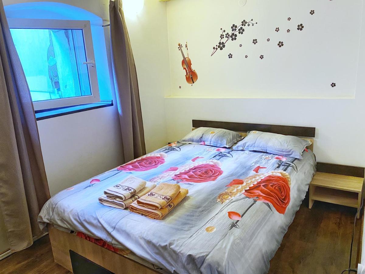Sauna Apartament 布拉索夫 外观 照片